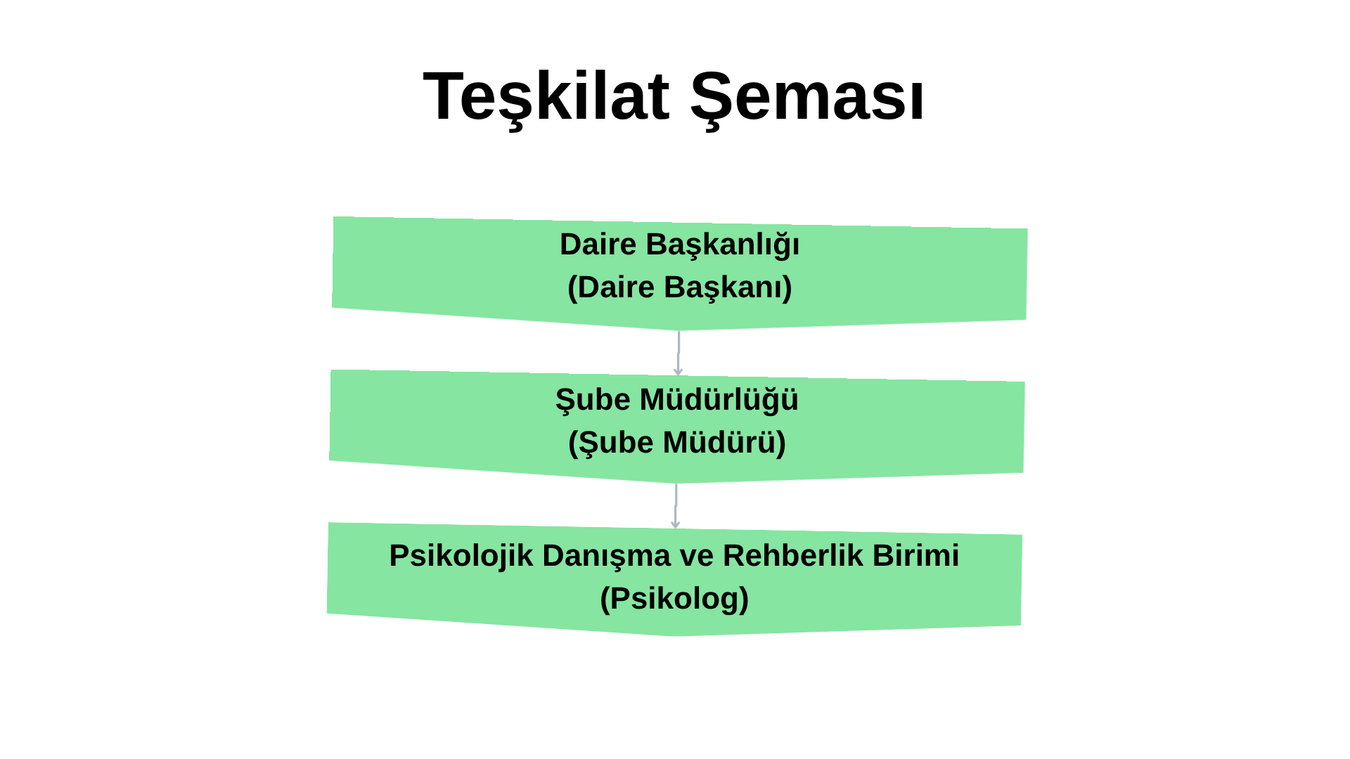 teskilat psikolog